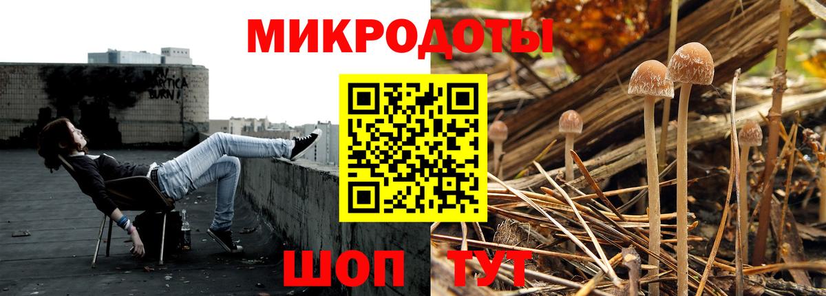 Псилоцибиновые грибы Cubensis  Галлюциногенные грибы Psilocybine cubensis  Вход с VPN  Новомосковск 